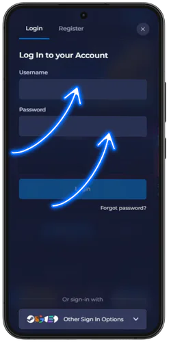 Arrows marking the username and password fields